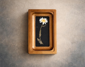 Miniatuurschilderij met geperste kamille in gouden lijst, ingelijst herbarium, botanisch wanddecor
