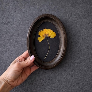 Geperste bloemen in een ovaal frame van 3 x 5 inch, botanisch decor, herbarium, natuurlijke bloem, cadeau