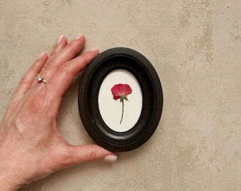 Botanical Wall Art, Mini 2x3 Frame with Real Pressed Rose, Wall Decor
