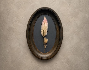 Un pannello botanico in miniatura con lagurus pressati in una cornice ovale. Decorazione murale botanica d'atmosfera.