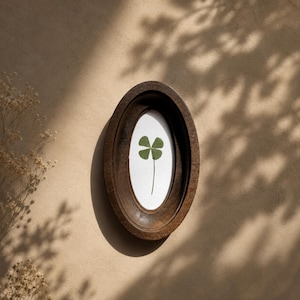 May include: A framed four-leaf clover. The clover is green and centered on a white background within a dark brown, oval-shaped wooden frame. The frame is mounted on a beige wall, with shadows from foliage.
