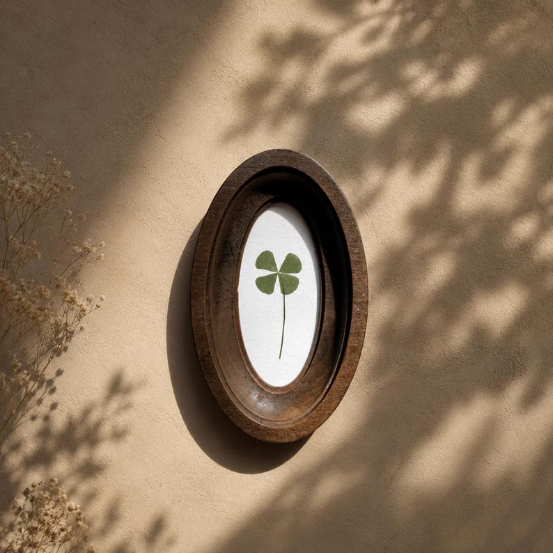May include: A framed four-leaf clover. The clover is green and centered on a white background within a dark brown, oval-shaped wooden frame. The frame is mounted on a beige wall, with shadows from foliage.