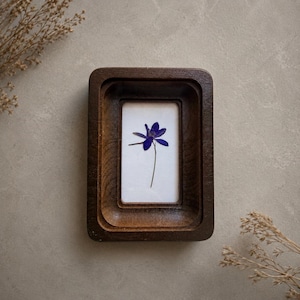 May include: A rectangular dark brown wooden frame with rounded corners, featuring a recessed centre area. Inside the frame, a single pressed blue flower with thin green stems is displayed against a plain white background, centred vertically.