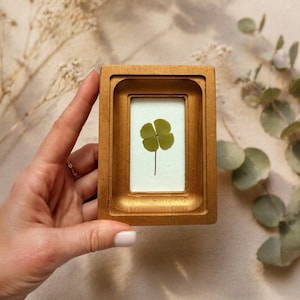 May include: A small, rectangular, gold-coloured wooden frame containing a pressed four-leaf clover. The clover is green against a white background. The frame has a layered design. The frame is held by a person.