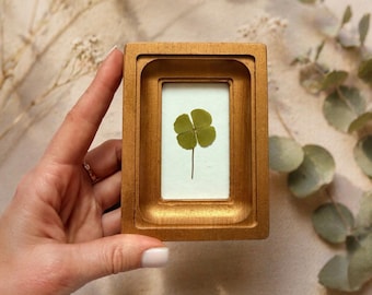Geperste klavertje vier in rechthoekige lijst, mini-botanisch decor, talismancadeau