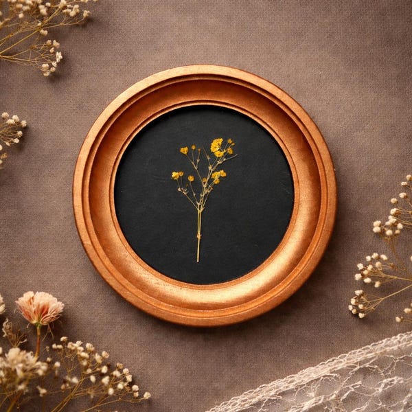Pressed yellow flower in a round frame Bronze color, botanical wall hanging, minimalist decor, cottagecore