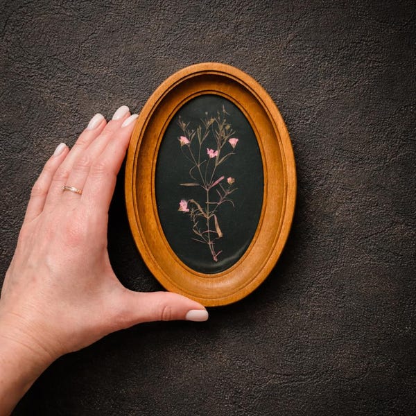 Pressed flower in a 3x5 inch oval frame, botanical panel, dried flower decor, wall hanging