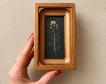 Miniatuur gedroogde bloemen herbarium | Gouden houten lijst, botanische muurkunst