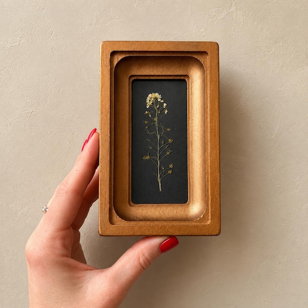 Miniature Dried Flower Herbarium | Gold Wooden Frame, Botanical Wall Art
