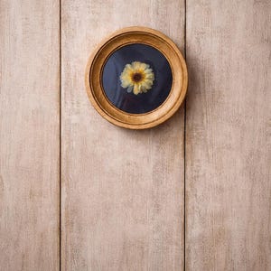 K&ouml;nnte beinhalten: Ein rundes, holzgerahmtes Kunstwerk mit einer getrockneten gelben Blume auf dunklem Hintergrund. Der hellbraune Rahmen ist an einer hellen Holzpaneelwand befestigt.