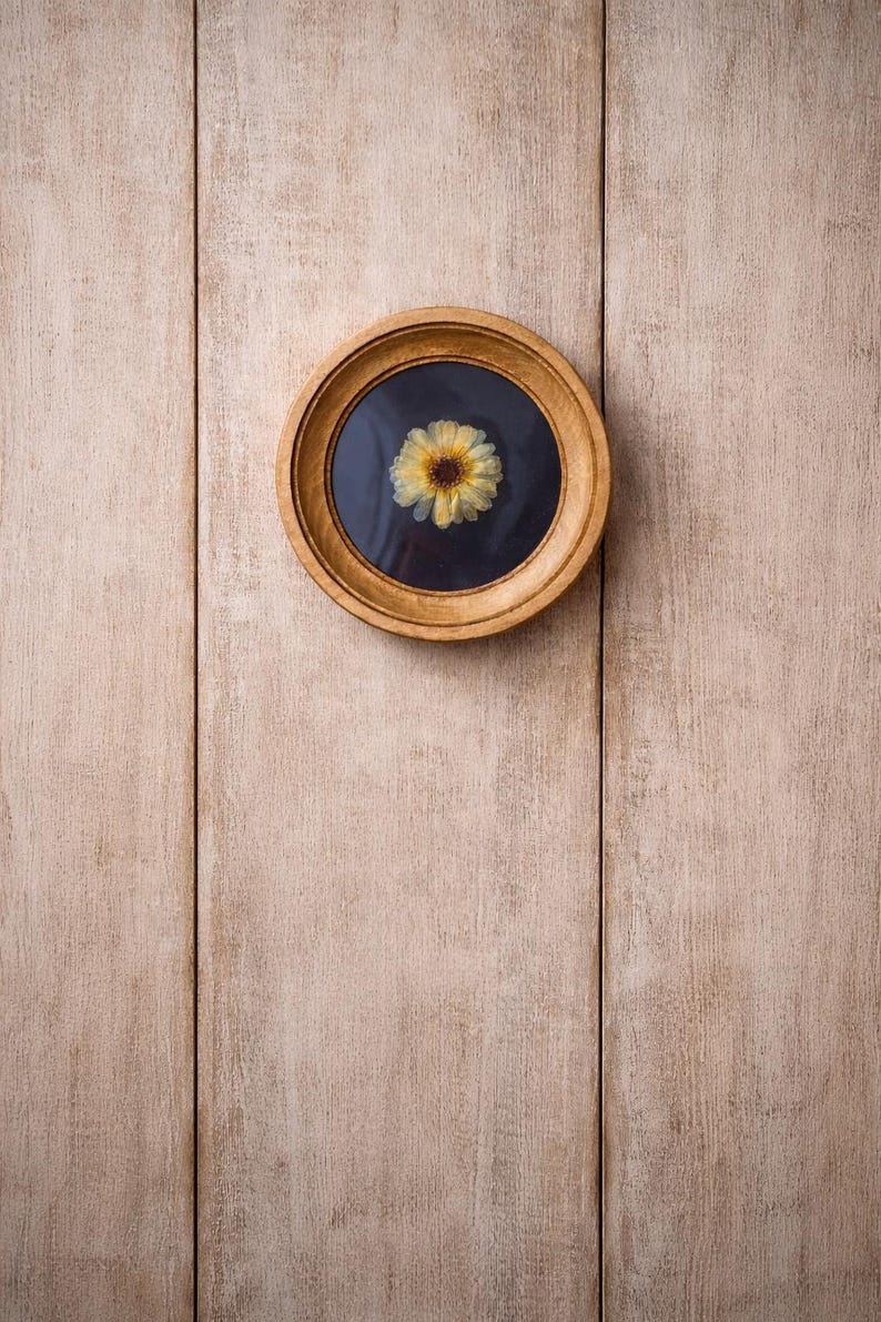 K&ouml;nnte beinhalten: Ein rundes, holzgerahmtes Kunstwerk mit einer getrockneten gelben Blume auf dunklem Hintergrund. Der hellbraune Rahmen ist an einer hellen Holzpaneelwand befestigt.