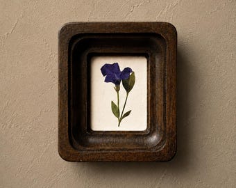 Marco miniatura con vinca prensada, decoración botánica hecha a mano, arte floral prensado.