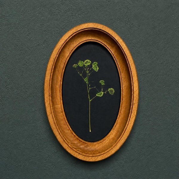 Botanical wall art, 3x5 inch oval frame, pressed flowers, dried flower art, miniature painting
