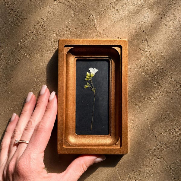 Mini 2x4 Frame with Real Pressed Flower, Handmade Botanical Art, Wall Decor