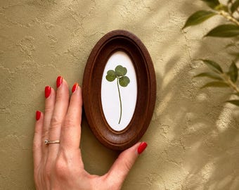 Trébol de tres hojas en un mini marco de 2x4 pulgadas, decoración botánica para pared, símbolo de riqueza y amor.