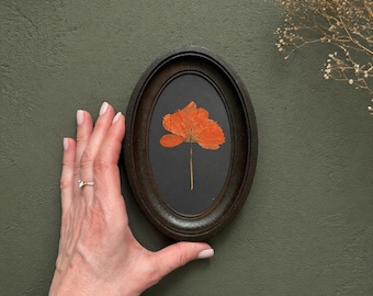 Geperste oranje bloem in een ovale lijst van 3 x 5 inch | Botanische kunst | Natuurlijk decor | Cottagecore-muurkunst