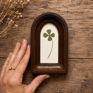 May include: A dark brown wooden arched frame containing a pressed green four-leaf clover on a cream-colored background. The frame features a recessed, stepped design with a smooth finish, showcasing a botanical specimen centered within the arch.