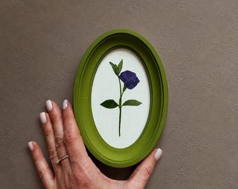 Olijfkleurige ovale lijst met natuurlijke gedroogde bloemen, botanisch paneel, wanddecor, herbarium, geperste bloemen