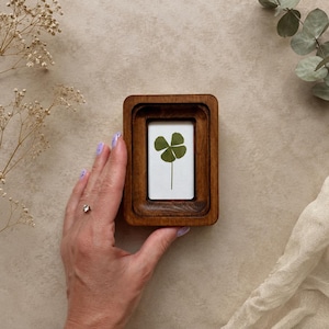 May include: A small, rectangular, dark brown wooden frame with rounded corners containing a white insert featuring a pressed green four-leaf clover illustration. The frame has a deep, recessed border and a smooth, polished finish.
