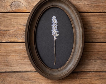Lavande pressée dans un cadre ovale 3 x 5 pouces | Décoration murale botanique | Herbier artisanal | Cadeau Cottagecore