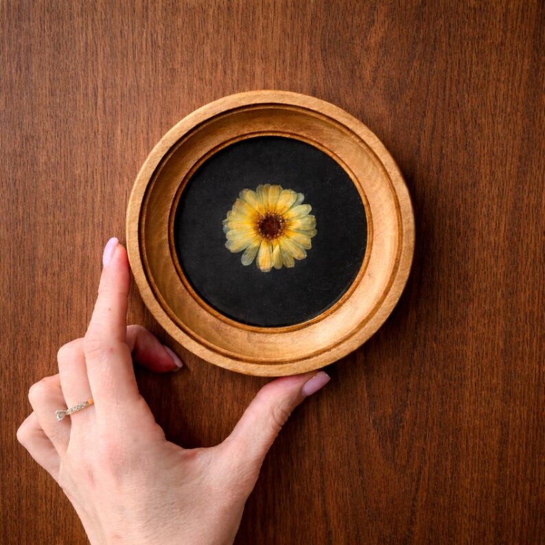 K&ouml;nnte beinhalten: Ein runder Holzrahmen mit einer gepressten gelben Blume auf schwarzem Hintergrund. Der Rahmen wird vor einer dunklen Holzoberfl&auml;che gehalten. Die Blume hat gelbe Bl&uuml;tenbl&auml;tter und eine dunkle Mitte.