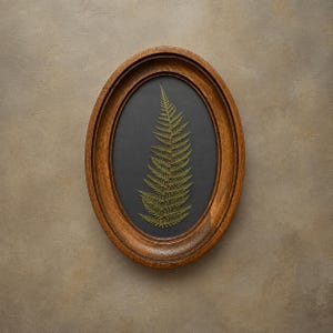 May include: An oval-shaped wooden frame with a dark brown finish containing a single pressed green fern leaf centered against a solid black background. The frame features a smooth, rounded profile and a deep, recessed inner edge surrounding the leaf.