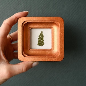 May include: A small, square, copper-colored frame holds a pressed fern leaf against a white background. The frame has a layered design and is held by a hand against a dark gray backdrop. The fern is a vibrant green.