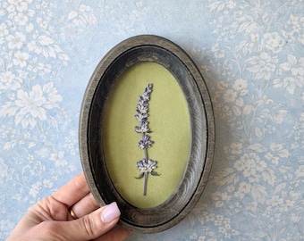 Geperste lavendel in een ovaal frame van 3 x 5 inch, botanisch decor, kunst aan de muur, herbarium, natuurlijke bloem