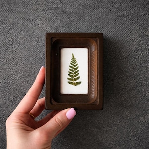 May include: A small, rectangular, dark brown wooden frame with a pressed green fern leaf on a white background. The frame has a recessed design. The item is held against a grey textured surface.