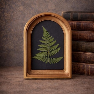 Pressed Fern in a Wooden Arched Frame Gold color | Natural Herbarium | Botanical Wall Art | Cottagecore