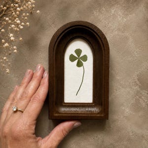 May include: A dark brown wooden arch-shaped frame containing a white background with a single pressed green four-leaf clover centred inside. The frame features a deep, recessed design with a smooth, polished finish and a rounded top edge.