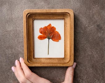 Geperste bloem in 3x4 houten lijst eikenkleur | Natuurlijk hangend decor | Botanische kunst | Handgemaakt