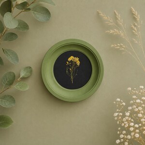 Pode incluir: Uma moldura circular verde-oliva contendo um inserto circular preto com um único caule de flor silvestre amarela prensada centralizado no interior. A moldura é rodeada por folhas de eucalipto verdes e flores secas brancas sobre um fundo verde.