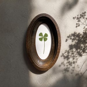 May include: A framed four-leaf clover. The clover is centered in an oval, wooden frame. The frame is a dark brown color. The background is a light gray wall with shadows from a plant.