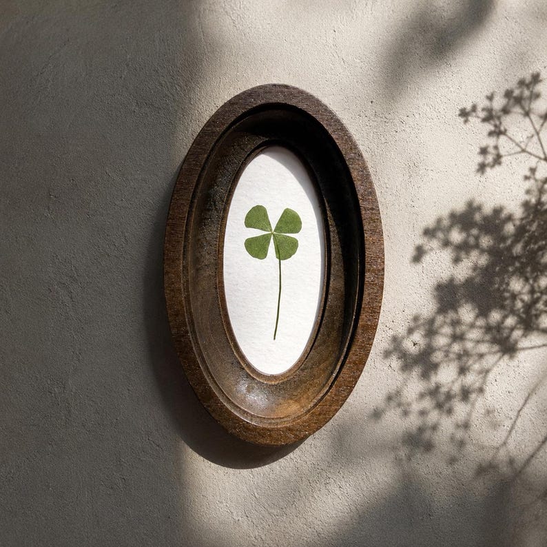 May include: A framed four-leaf clover. The clover is centered in an oval, wooden frame. The frame is a dark brown color. The background is a light gray wall with shadows from a plant.