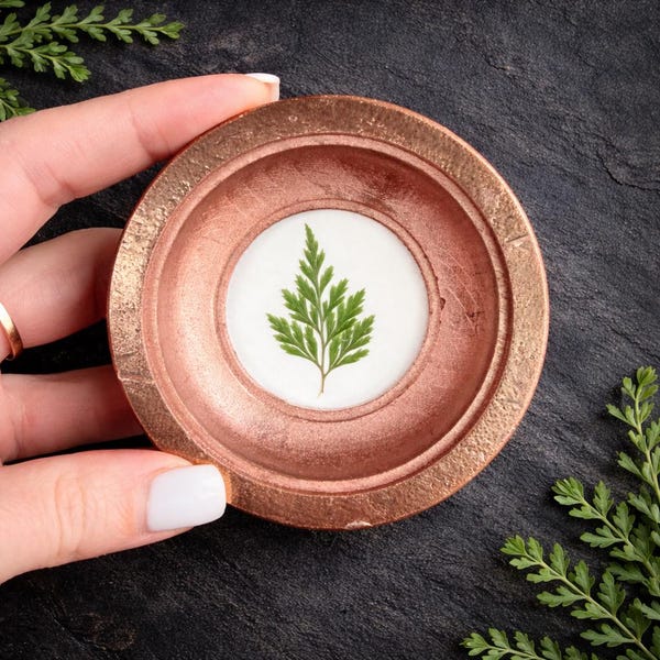 Fern Wall Art in a Wooden Frame | Framed Herbarium | Mini Botanical Panel | Pressed Fern