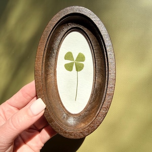 May include: A framed four-leaf clover. The clover is green and centered on a white background within a dark brown, oval-shaped wooden frame. The frame has a layered design, and the background is a muted green.