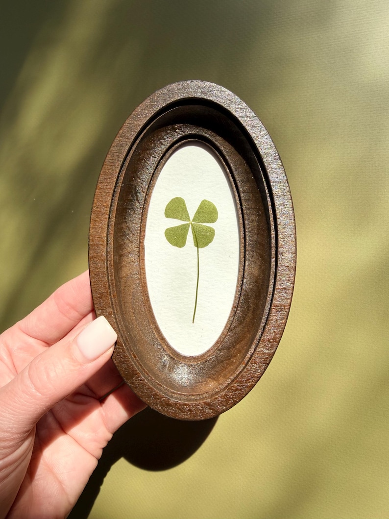 May include: A framed four-leaf clover. The clover is green and centered on a white background within a dark brown, oval-shaped wooden frame. The frame has a layered design, and the background is a muted green.