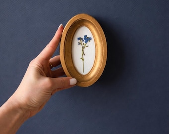 Bloemenkunst aan de muur, een miniatuurpaneel in een ovale lijst van 2 x 4 met geperste bloemen, goudkleur