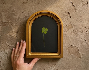 Four-Leaf Clover in a 5x7-Inch Frame, Good Luck Charm, Botanical Wall Art, Lucky Gift