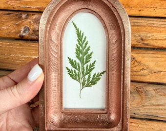 Arte murale in felce con cornice ad arco / Felce pressata / Erbario botanico / Pannello in miniatura fatto a mano