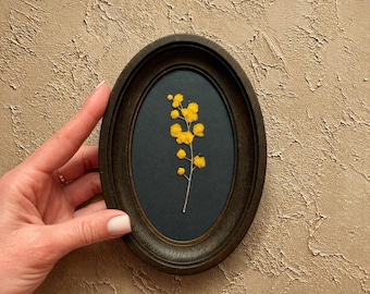 Ovale lijst met gedroogde bloemen, 3 x 5 inch • Gele geperste bloemen• Botanische muurkunst • Natuurlijk decor
