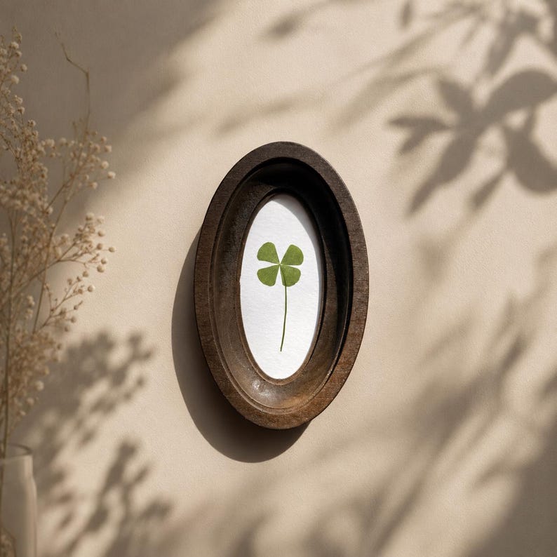 May include: Oval, dark brown wooden frame with a four-leaf clover pressed on white paper. The frame is mounted on a beige wall, with shadows of leaves in the background. The clover is green, and the frame has a rustic appearance.