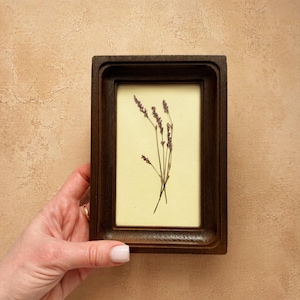 Puede incluir: Una pieza de arte botánico enmarcada con ramitas de lavanda seca. El marco de madera marrón oscuro rodea un fondo color crema, resaltando las flores moradas. El marco rectangular está sostenido por una mano.