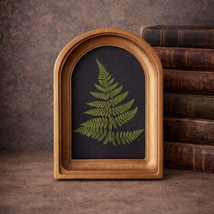 May include: A pressed green fern leaf displayed inside an arched, gold-toned frame. The fern is centred against a solid black background, and the frame features a smooth, rounded top edge with a recessed inner border, creating a deep, layered look.