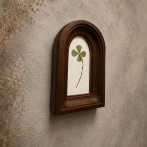 May include: A dark brown wooden wall frame with an arched top design. The frame contains a light-colored backing featuring a single pressed green four-leaf clover centered within the display area. The frame has a deep, recessed border.