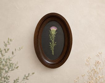 Handcrafted botanical wall art, pressed thistle in a frame, 3x5 inches, dried flower art