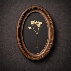 Arte mural con flores prensadas, pintura botánica: marco ovalado de madera, arreglo floral natural