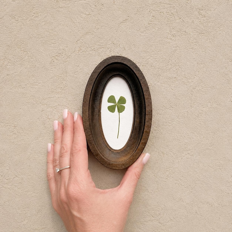 May include: Oval wooden frame with a four-leaf clover pressed on white paper. The frame is held by a hand with a ring. The clover is green, and the frame is a dark brown color. The background is a light beige color.
