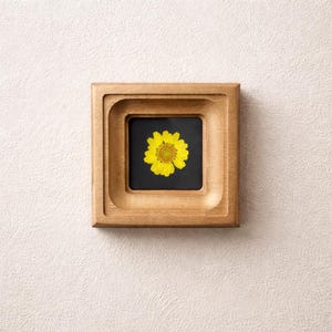 May include: Square wooden frame with a recessed design, showcasing a vibrant yellow flower against a black background. The frame has a natural wood finish and is mounted on a textured white wall.